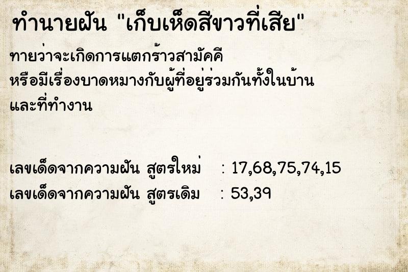 ทำนายฝันทำนายฝันเก็บเห็ดสีขาวที่เสีย