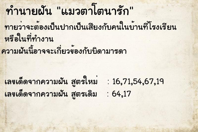ทำนายฝันทำนายฝันแมวตาโตนารัก