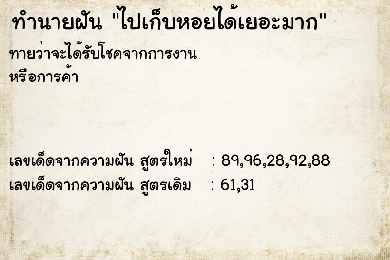 ทำนายฝันทำนายฝันไปเก็บหอยได้เยอะมาก