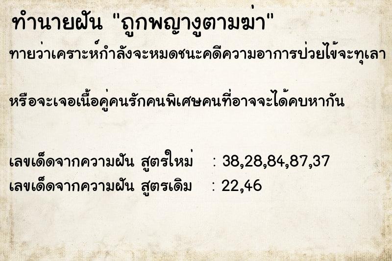 ทำนายฝันถูกพญางูตามฆ่า ทำนายฝันทำนายฝันถูกพญางูตามฆ่า