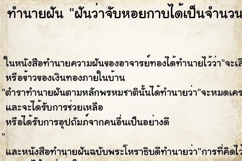 ทำนายฝัน ฝันว่าจับหอยกาบได้เป็นจำนวนมาก ทำนายฝัน ฝันว่าจับหอยกาบได้เป็นจำนวนมาก
