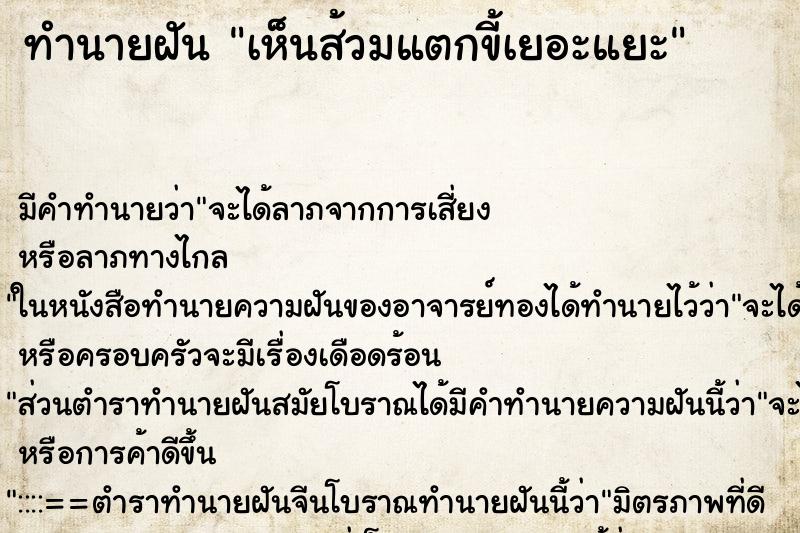 ทำนายฝันเห็นส้วมแตกขี้เยอะแยะ ทำนายฝันทำนายฝันเห็นส้วมแตกขี้เยอะแยะ