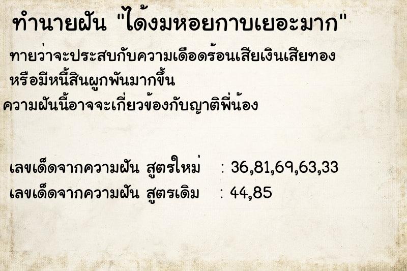 ทำนายฝันทำนายฝันได้งมหอยกาบเยอะมาก