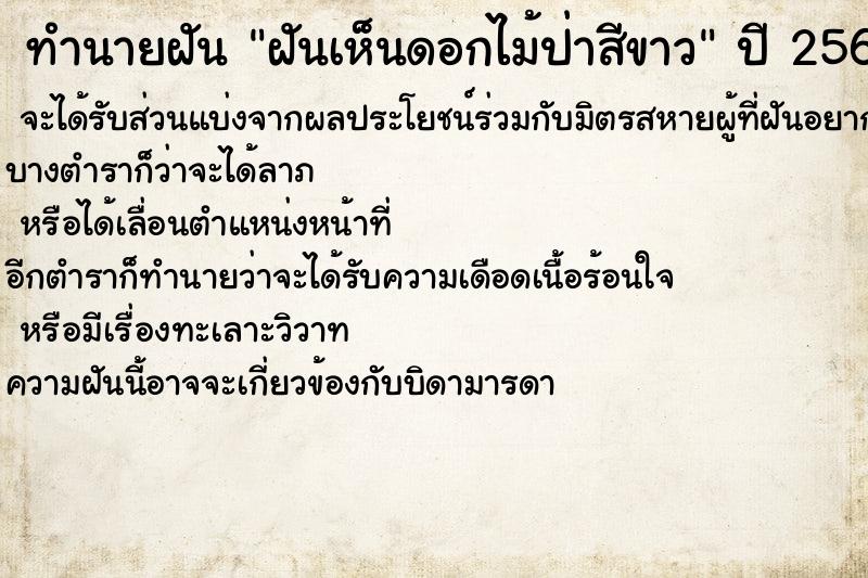 ทำนายฝันทำนายฝันฝันเห็นดอกไม้ป่าสีขาว