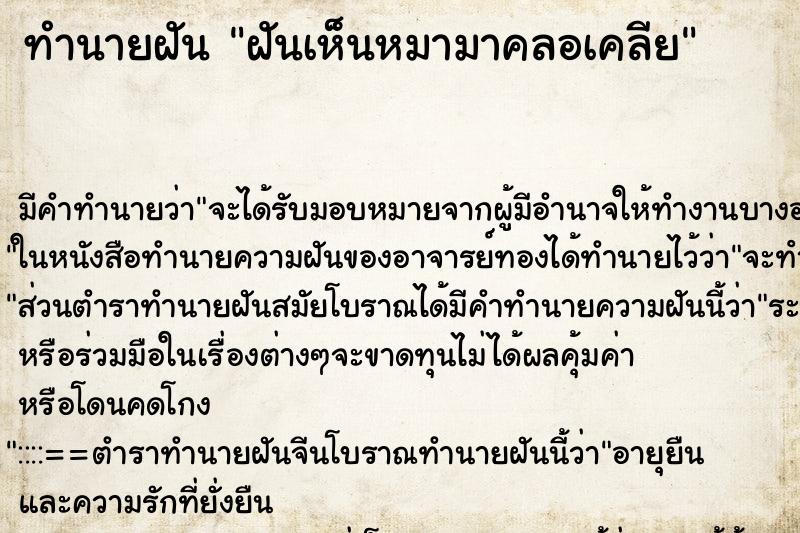 ทำนายฝัน ฝันเห็นหมามาคลอเคลีย ทำนายฝัน ฝันเห็นหมามาคลอเคลีย