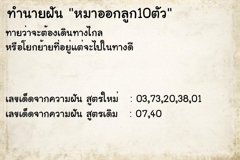 ทำนายฝันหมาออกลูก10ตัว ทำนายฝันทำนายฝันหมาออกลูก10ตัว