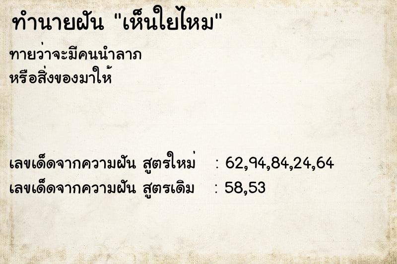 ทำนายฝันเห็นใยไหม ทำนายฝันทำนายฝันเห็นใยไหม