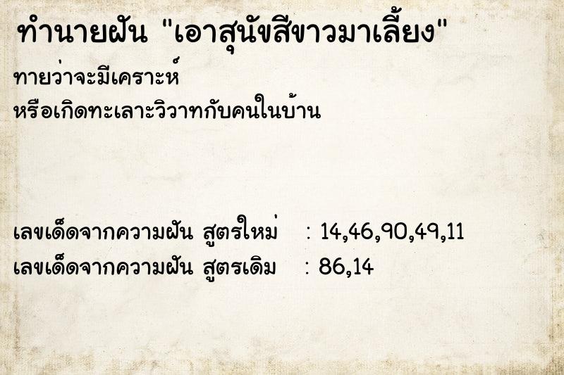 ทำนายฝันทำนายฝันเอาสุนัขสีขาวมาเลี้ยง