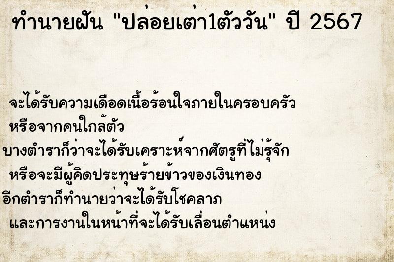 ทำนายฝัน ปล่อยเต่า1ตัววัน