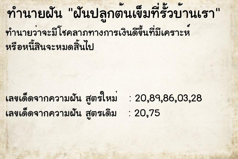 ทำนายฝันทำนายฝันฝันปลูกต้นเข็มที่รั้วบ้านเรา