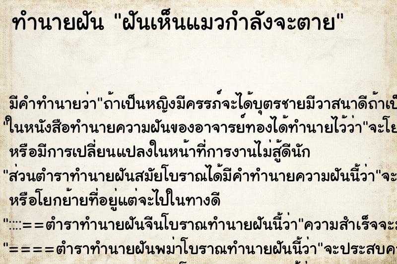 ทำนายฝัน ฝันเห็นแมวกำลังจะตาย ทำนายฝัน ฝันเห็นแมวกำลังจะตาย