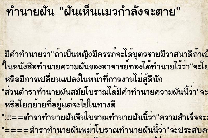 ทำนายฝัน ฝันเห็นแมวกำลังจะตาย ตำราโบราณ แม่นที่สุดในโลก