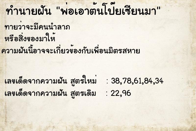 ทำนายฝันทำนายฝันพ่อเอาต้นโป๊ยเซียนมา