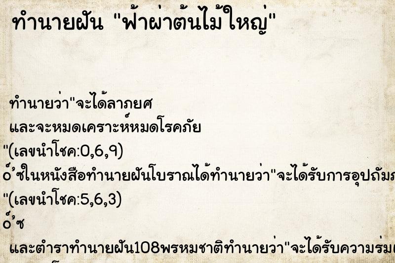 ทำนายฝัน ฟ้าผ่าต้นไม้ใหญ่ ทำนายฝัน ฟ้าผ่าต้นไม้ใหญ่