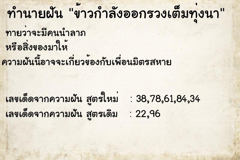 ทำนายฝันทำนายฝันข้าวกำลังออกรวงเต็มทุ่งนา