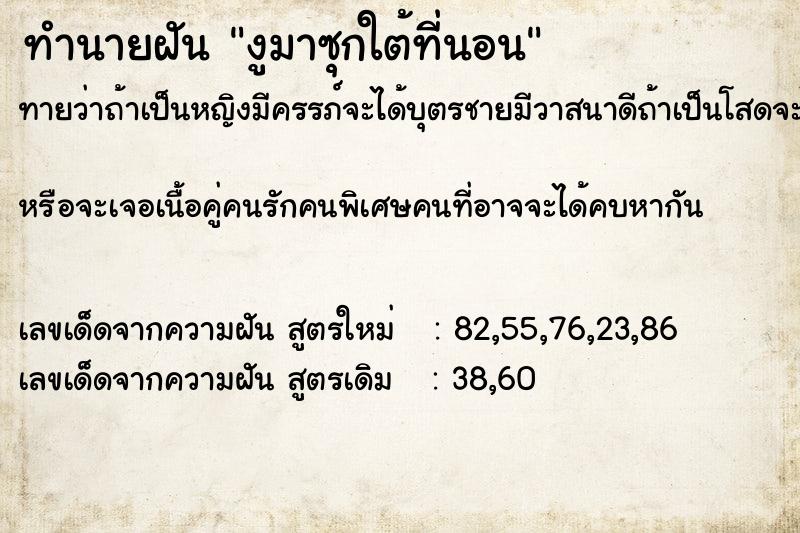 ทำนายฝันงูมาซุกใต้ที่นอน ทำนายฝันทำนายฝันงูมาซุกใต้ที่นอน
