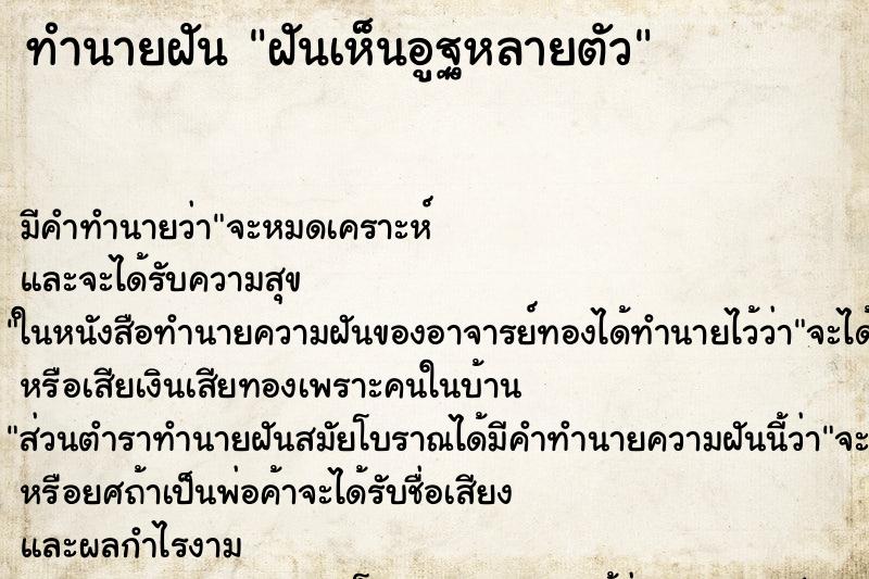 ทำนายฝันฝันเห็นอูฐหลายตัว ทำนายฝันทำนายฝันฝันเห็นอูฐหลายตัว