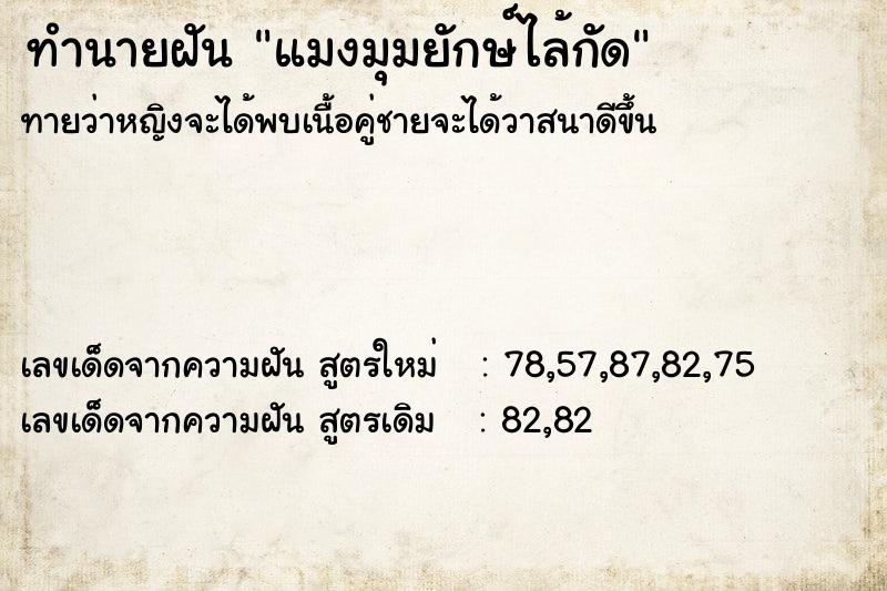 ทำนายฝันแมงมุมยักษ์ไล้กัด ทำนายฝันทำนายฝันแมงมุมยักษ์ไล้กัด