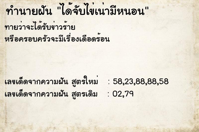 ทำนายฝัน ได้จับไข่เน่ามีหนอน ทำนายฝัน ได้จับไข่เน่ามีหนอน