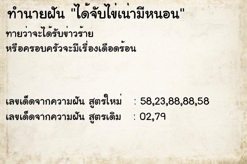 ทำนายฝัน ได้จับไข่เน่ามีหนอน ตำราโบราณ แม่นที่สุดในโลก