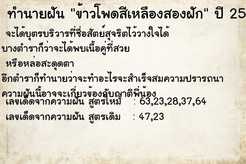 ทำนายฝันข้าวโพดสีเหลืองสองฝัก ทำนายฝันทำนายฝันข้าวโพดสีเหลืองสองฝัก