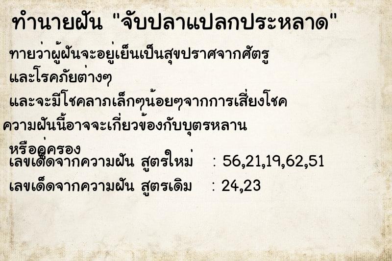 ทำนายฝันจับปลาแปลกประหลาด ทำนายฝันทำนายฝันจับปลาแปลกประหลาด