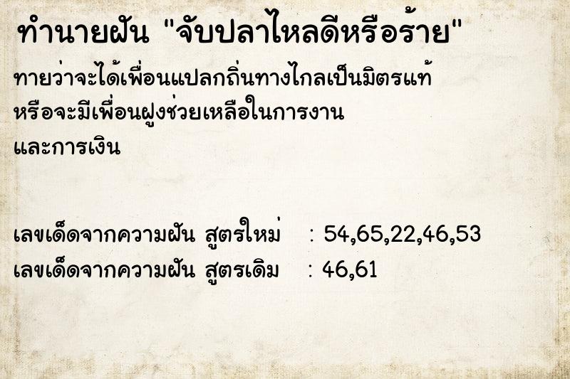 ทำนายฝันจับปลาไหลดีหรือร้าย ทำนายฝันทำนายฝันจับปลาไหลดีหรือร้าย