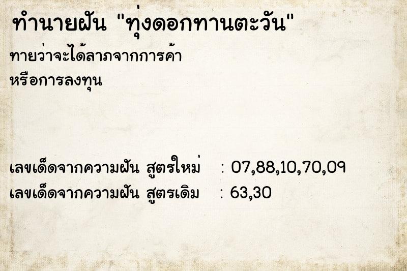 ทำนายฝัน ทุ่งดอกทานตะวัน ทำนายฝัน ทุ่งดอกทานตะวัน