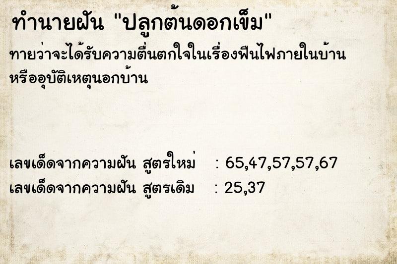 ทำนายฝันปลูกต้นดอกเข็ม ทำนายฝันทำนายฝันปลูกต้นดอกเข็ม