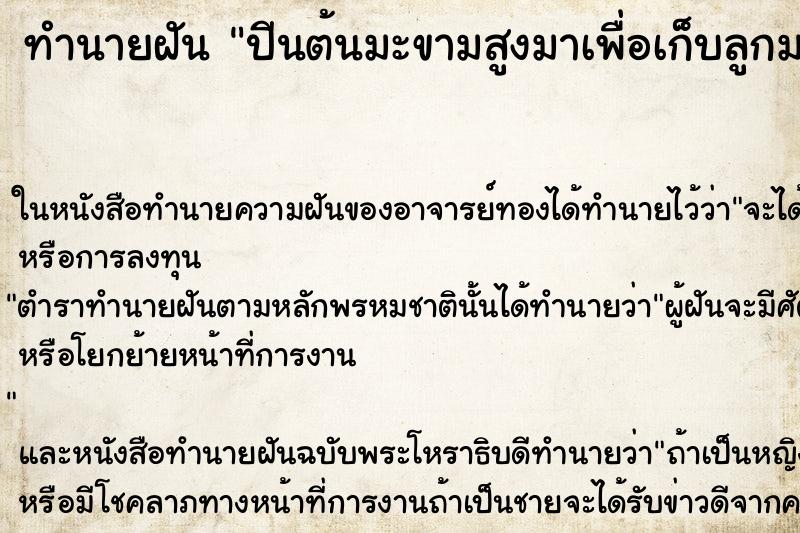 ทำนายฝันปีนต้นมะขามสูงมาเพื่อเก็บลูกมะขาม ทำนายฝันทำนายฝันปีนต้นมะขามสูงมาเพื่อเก็บลูกมะขาม