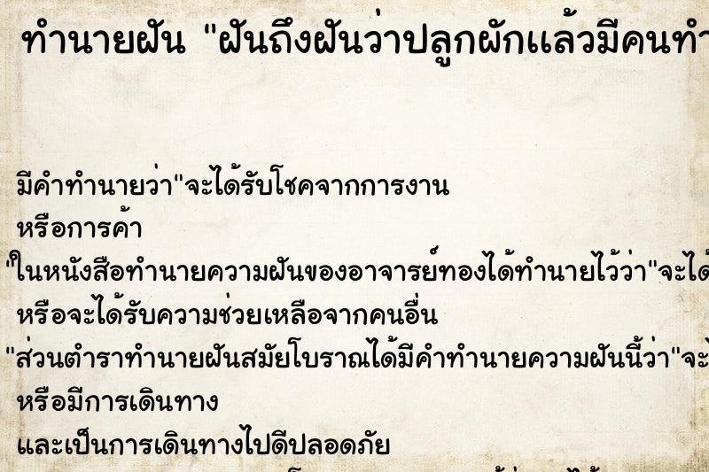 ทำนายฝัน ฝันถึงฝันว่าปลูกผักเเล้วมีคนทำลาย