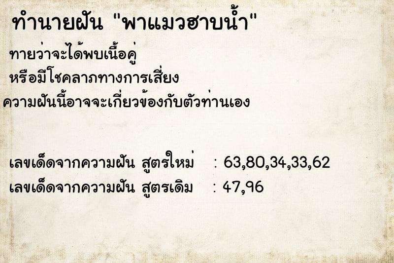 ทำนายฝันพาแมวฮาบน้ำ ทำนายฝันทำนายฝันพาแมวฮาบน้ำ