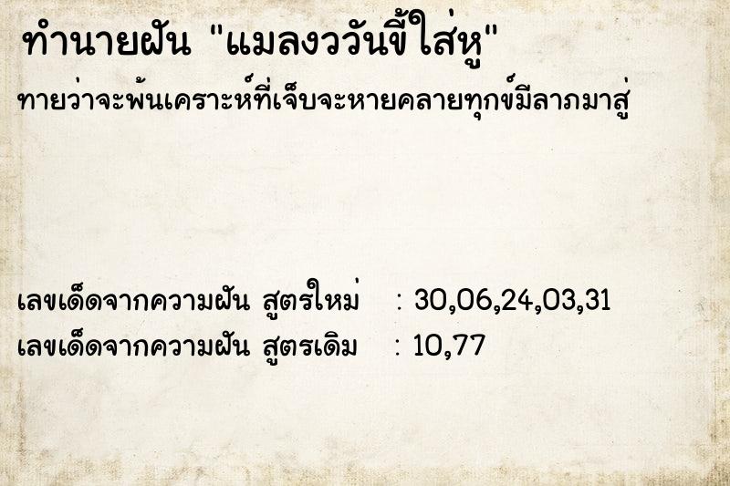 ทำนายฝันแมลงววันขี้ใส่หู ทำนายฝันทำนายฝันแมลงววันขี้ใส่หู