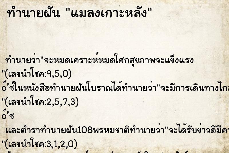 ทำนายฝันแมลงเกาะหลัง ทำนายฝันทำนายฝันแมลงเกาะหลัง