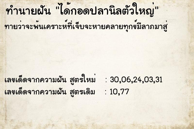 ทำนายฝันทำนายฝันได้กอดปลานิลตัวใหญ่