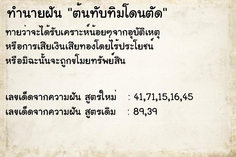 ทำนายฝันต้นทับทิมโดนตัด ทำนายฝันทำนายฝันต้นทับทิมโดนตัด
