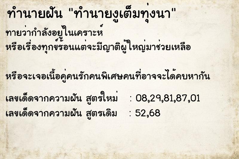 ทำนายฝัน ทำนายงูเต็มทุ่งนา ทำนายฝัน ทำนายงูเต็มทุ่งนา