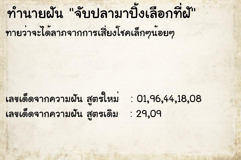 ทำนายฝันจับปลามาปิ้งเลือกที่ฝั ทำนายฝันทำนายฝันจับปลามาปิ้งเลือกที่ฝั