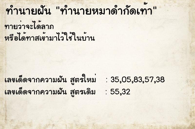 ทำนายฝันทำนายหมาดำกัดเท้า ทำนายฝันทำนายฝันทำนายหมาดำกัดเท้า