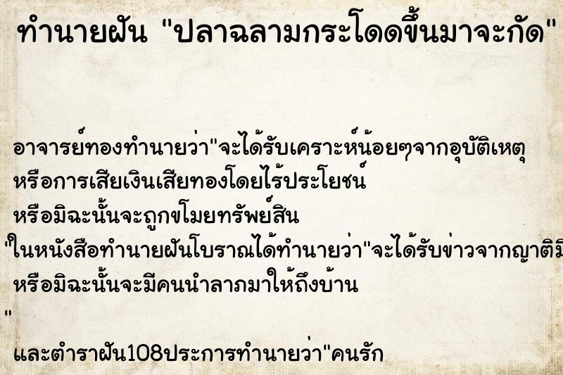 ทำนายฝัน ปลาฉลามกระโดดขึ้นมาจะกัด ตำราโบราณ แม่นที่สุดในโลก