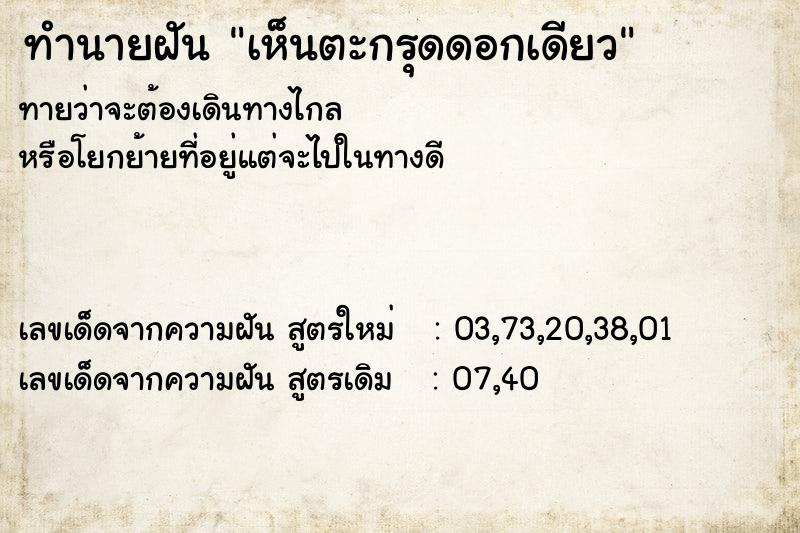 ทำนายฝันทำนายฝันเห็นตะกรุดดอกเดียว