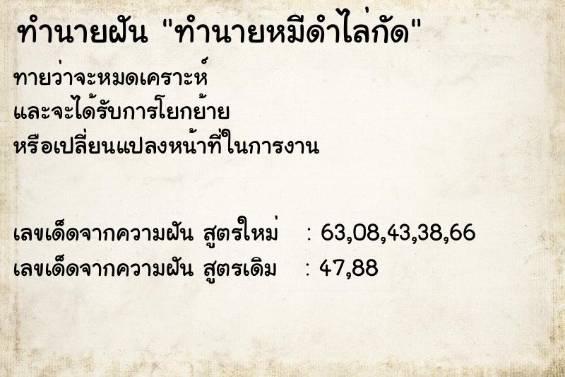 ทำนายฝันทำนายหมีดำไล่กัด ทำนายฝันทำนายฝันทำนายหมีดำไล่กัด