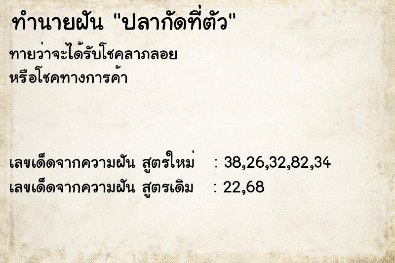 ทำนายฝันปลากัดที่ตัว ทำนายฝันทำนายฝันปลากัดที่ตัว