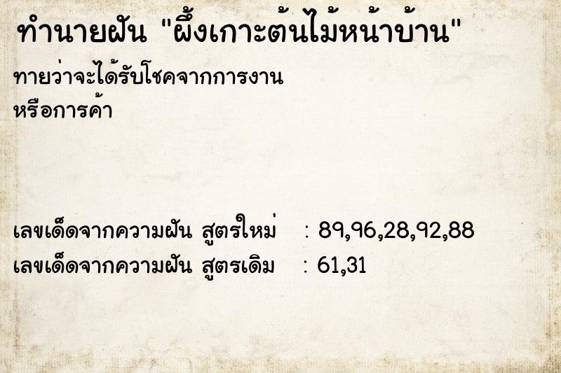 ทำนายฝันทำนายฝันผึ้งเกาะต้นไม้หน้าบ้าน