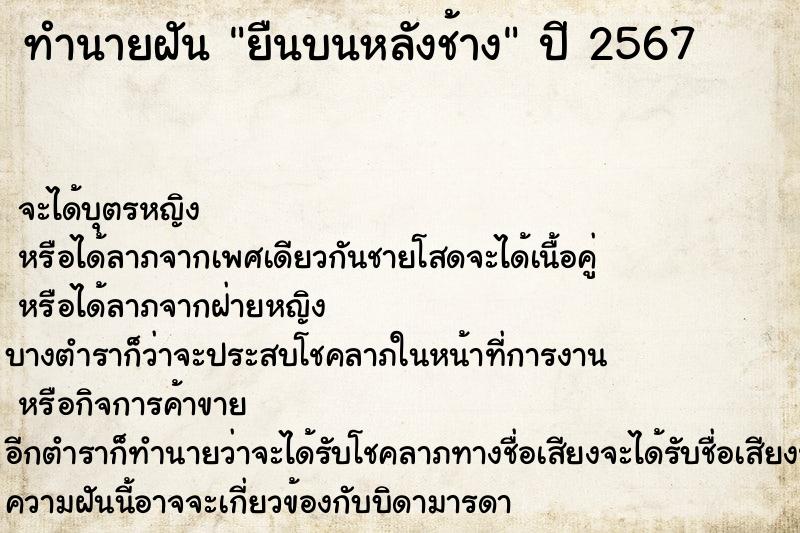 ทำนายฝัน ยืนบนหลังช้าง ทำนายฝัน ยืนบนหลังช้าง