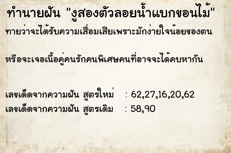 ทำนายฝันทำนายฝันงูสองตัวลอยน้ำแบกขอนไม้