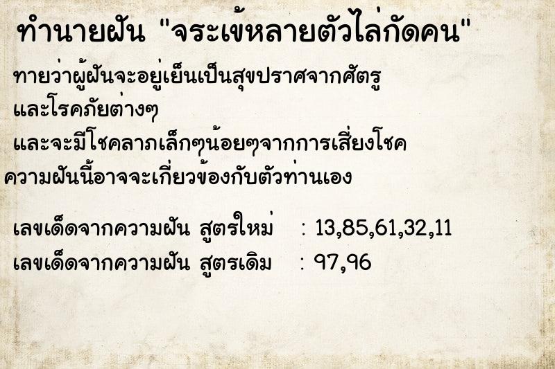 ทำนายฝัน จระเข้หลายตัวไล่กัดคน