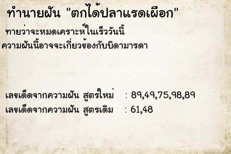 ทำนายฝันตกได้ปลาแรดเผือก ทำนายฝันทำนายฝันตกได้ปลาแรดเผือก