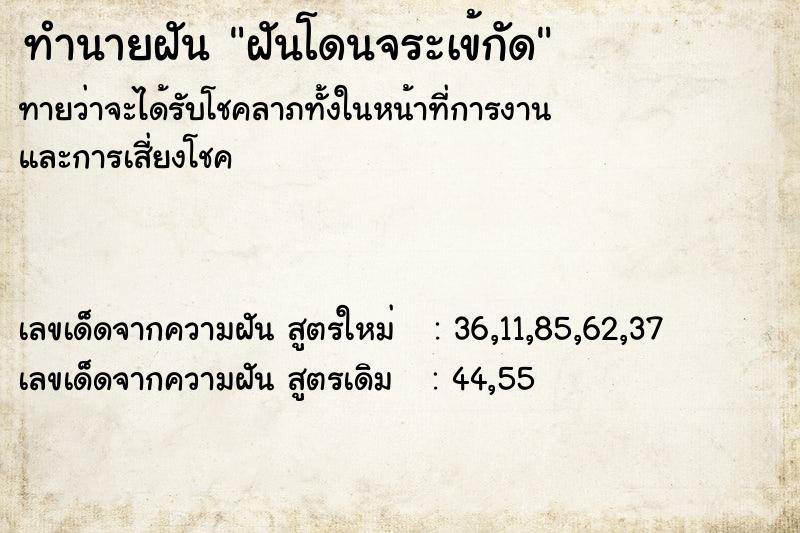 ทำนายฝันฝันโดนจระเข้กัด ทำนายฝันทำนายฝันฝันโดนจระเข้กัด