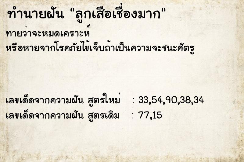 ทำนายฝันลูกเสือเชื่องมาก ทำนายฝันทำนายฝันลูกเสือเชื่องมาก